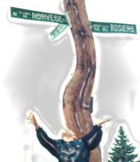 rue de la norvge