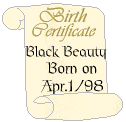 birth_blackbeauty.gif (5193 bytes)