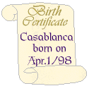 birth_casablanca.gif (5155 bytes)