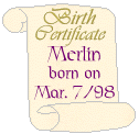 birth_merlin.gif (5245 bytes)