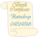 birth_raindrop.gif (4378 bytes)