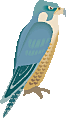 falcon.gif (4053 bytes)