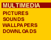 Multimedia