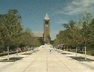 Central Avenue, 
Cornell University. (McGraw Tower)