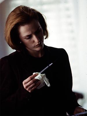 Scully examined the evidence