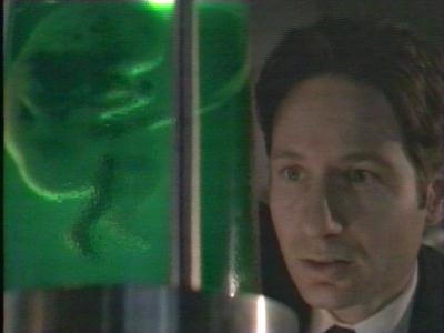 Mulder observed the embryo