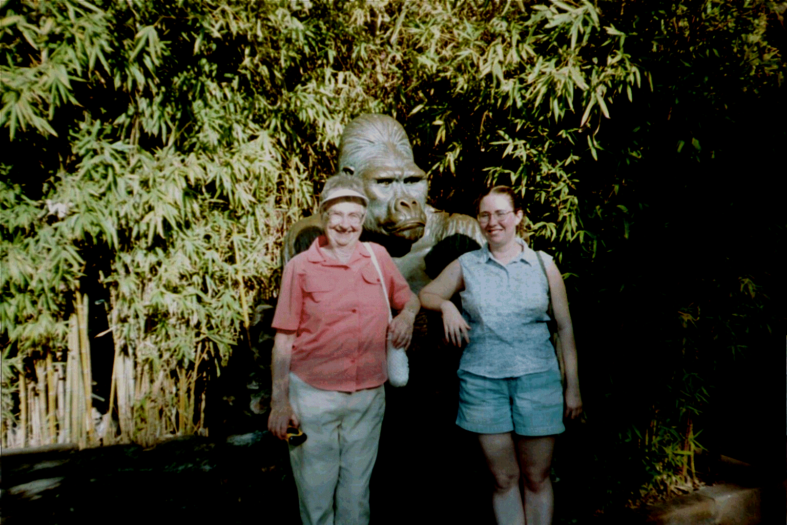 serendipity and barbara at the zoo