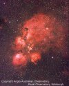 Reddened Nebulosity