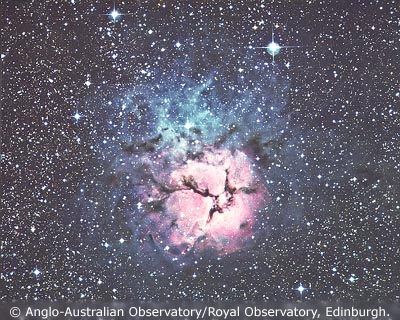 The Reflection Nebula around the Trifid Nebula