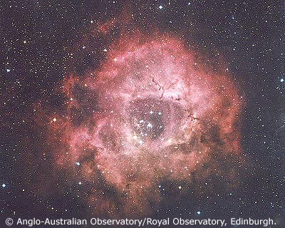 The Rosette Nebula