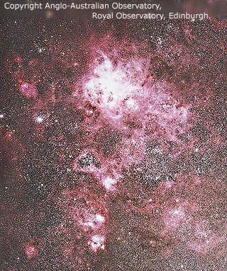 The Tarantula Nebula in the Large Magellanic Cloud