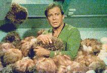 Scene from Trouble With Tribbles