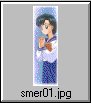 See the full size smer01.jpg