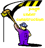 Construction guy