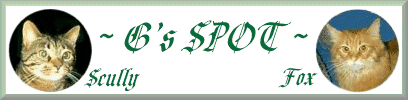 G' Spot Banner