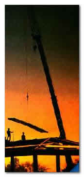 Image of sunset with a cane in the foreground.