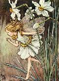 Fairy Girl Running Behind Narcissus Flowers