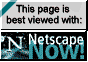 Netscape 4