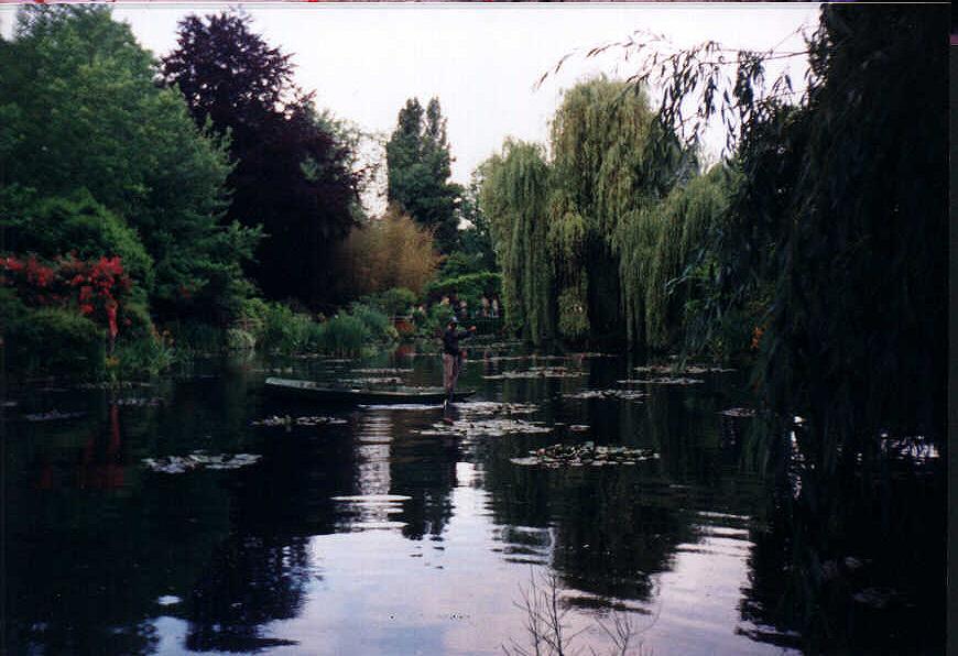 Waterlilies