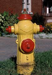 Jocey's hydrant