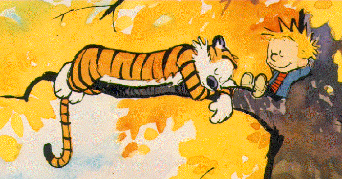 Calvin & Hobbes