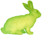 Alba the GFP Bunny