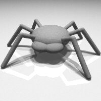 dangerous spider