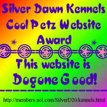 Web Page Award