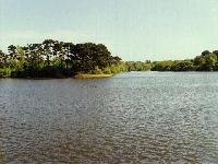 St Saviour's Reservoir and nature reserve