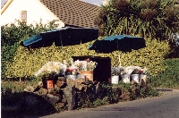 Road-side stall selling flowers