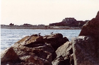 Lihou house