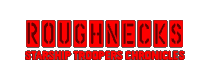 Roughnecks: Starship Troopers Chronicles