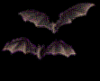 Two Spooky Bats in the Corner