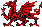 dragon01.gif (583 bytes)