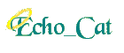 Echo