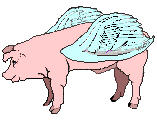 flying pig