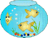 fish in bowl