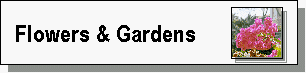 Garden City