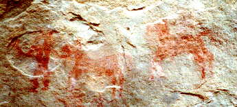 Prehistoric Drawing in Libyan Sahara