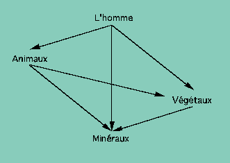 chane alimentaire