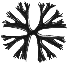 Neuron Vreex