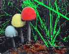 Mushies III