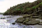 Wild Coast Beach