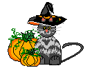 Halloween Cat