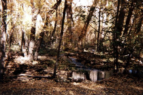 the stream running through the valley