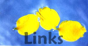 Links