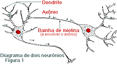 Diagrama de dois axnios