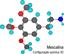 Configurao qumica 3D da mescalina