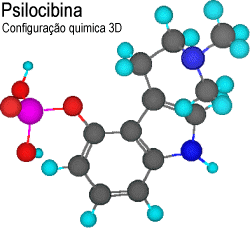 Configurao quimica 3D da Psilocibina