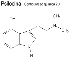 Configurao quimica 2D da Psilocina